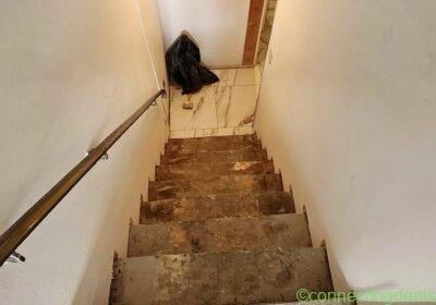 Handyman Services in Montreal