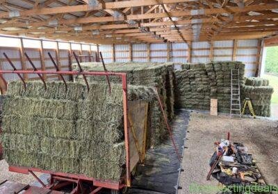 Free ad: Hay for sale in Calgary. Hay for sale in Calgary