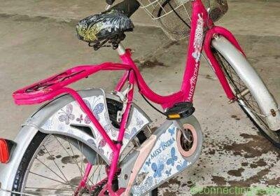 Hero Miss India Gold Bicycle in Hyderabad