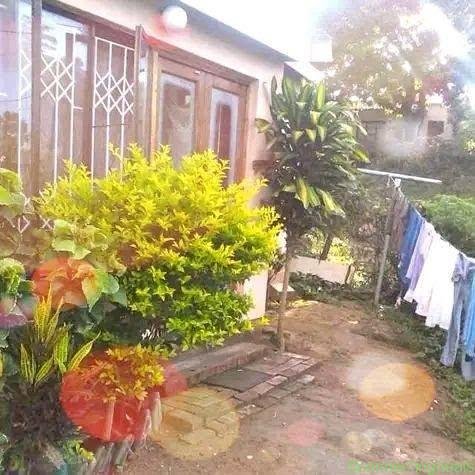 House+