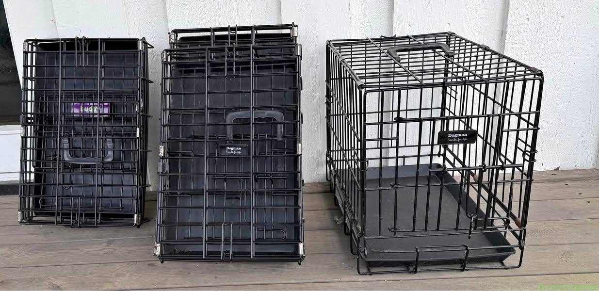 Hundebur 300 kr stykke