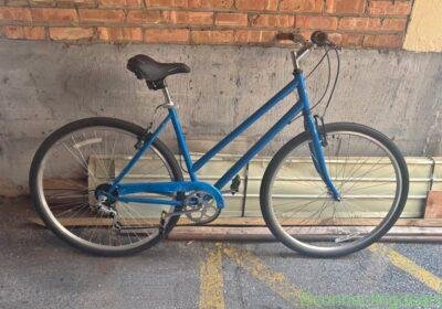 Hybrid Staggered Bike in Chicago