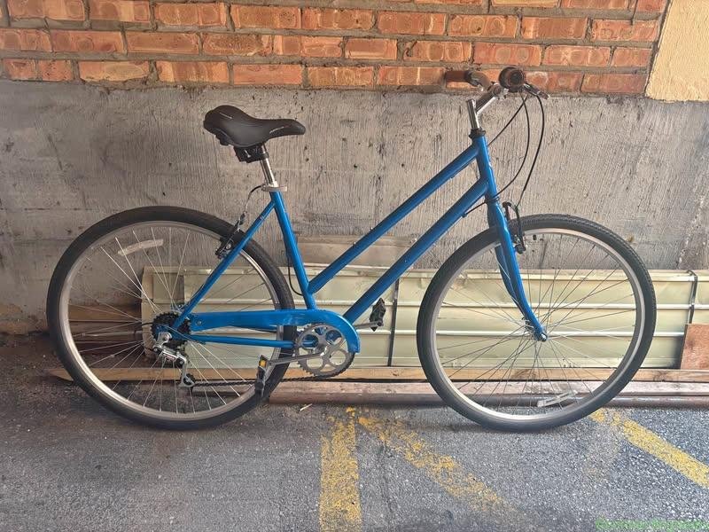 Hybrid Staggered Bike