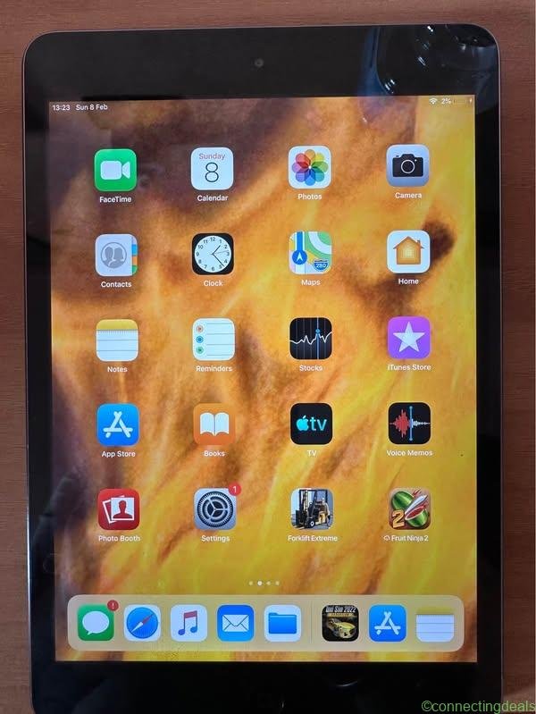 iPad mini 2