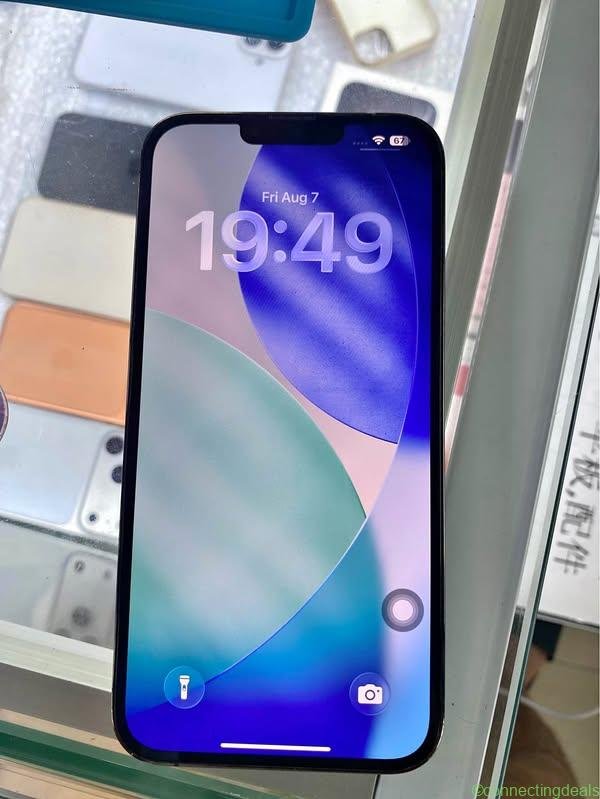 iPhone 13 Pro Max