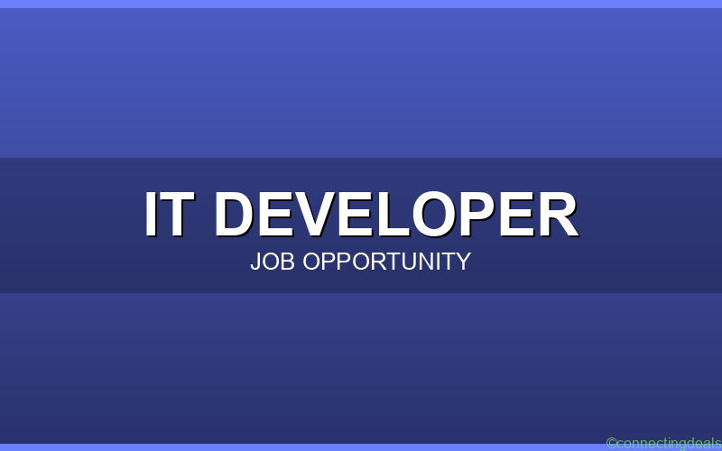 IT Business Development Executive