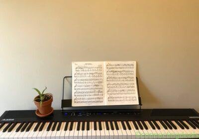 Free ad: Keyboard in Calgary. Keyboard in Calgary