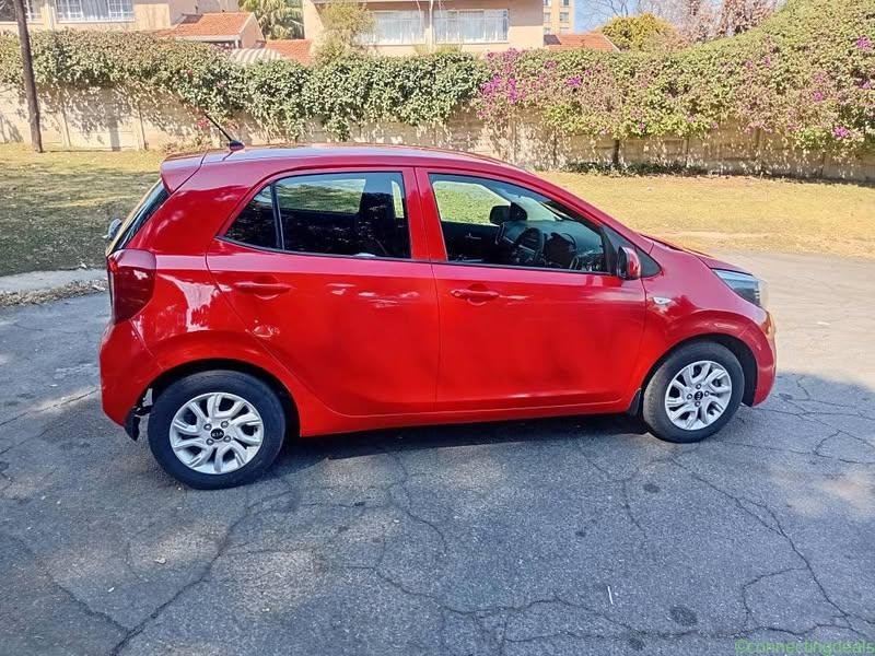 Kia picanto 2019 model