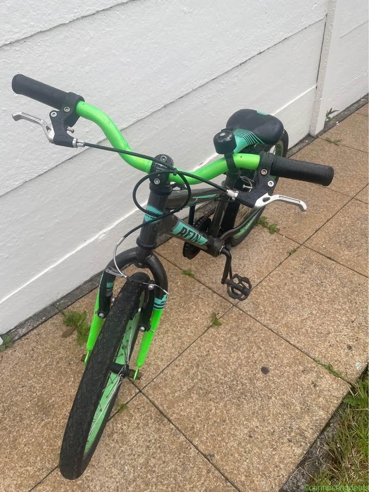 Kids 18” Rein bike
