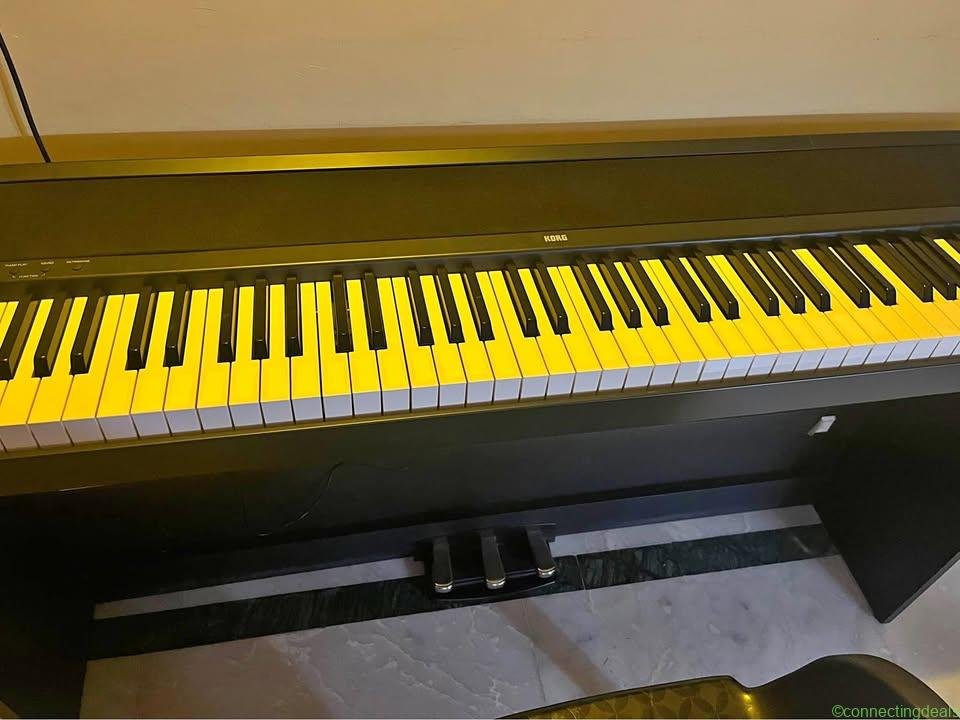 Korg Digital piano