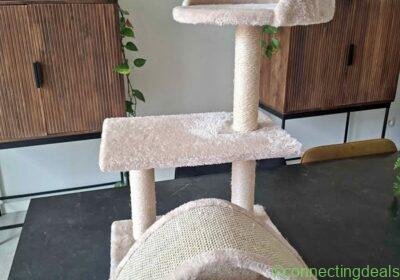 Free ad: Krabpaal kitten in Brussels. Krabpaal kitten in Brussels