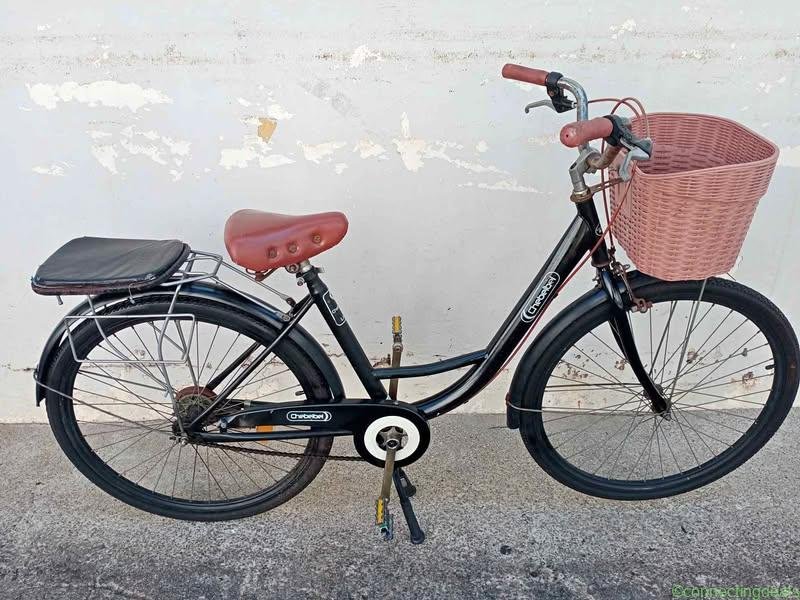 Ladies bicycle