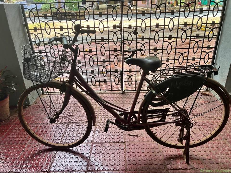 Lady cycle