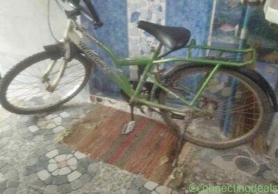 Free ad: Ladybird on Ranger cycles in Sivakasi. Ladybird on Ranger cycles in Sivakasi