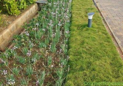 Free ad: Landscape services all types in Bangalore. Landscape services all types in Bangalore