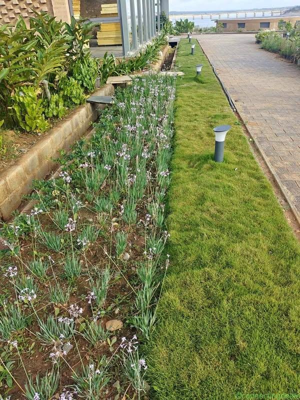 Landscape services all types