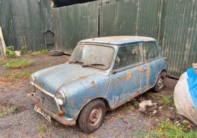 Layland mini HL in Dublin