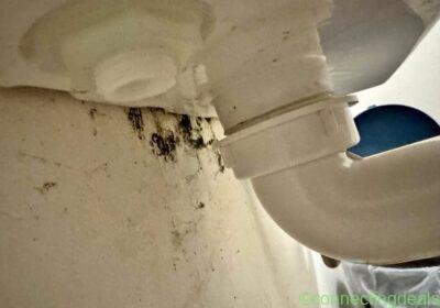 Leaking taps and maintenance in Melbourne