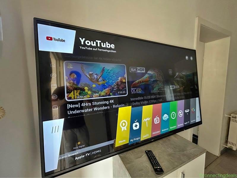 Lg Tv Fernseher 65zoll 164cm voll funktionsfähig