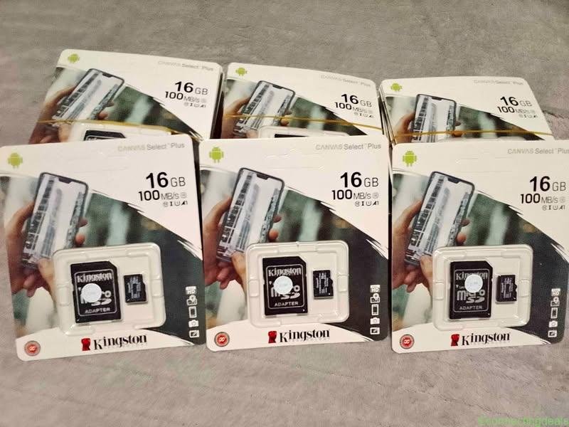 Micro SD Kingston 16 GB