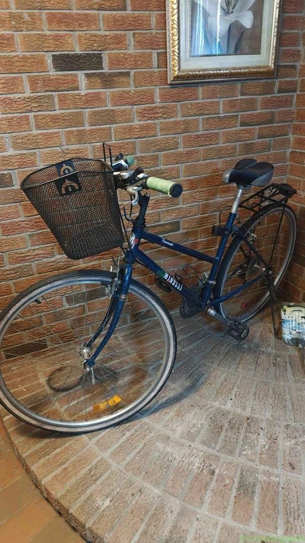 Minelli and Nakamura Bicycles