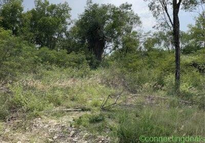 Free ad: Monoambiente 0 baños - Casa in Monterrey. Monoambiente 0 baños - Casa in Monterrey