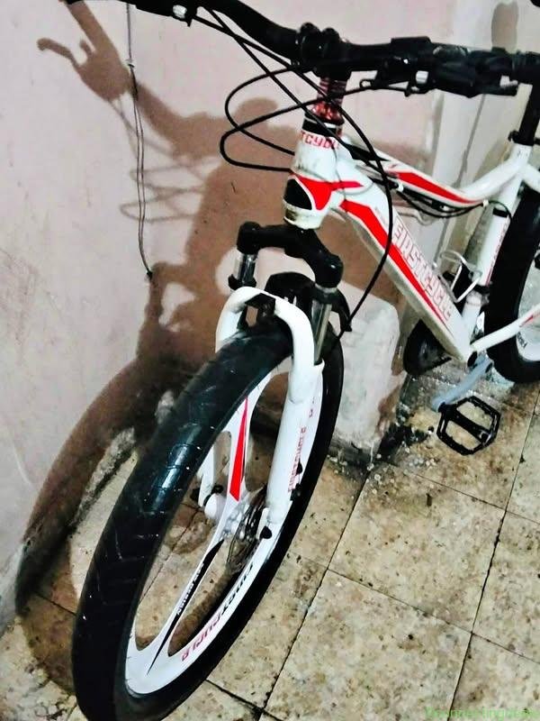 Mountain bike