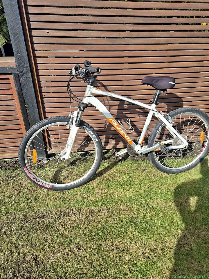 Mountain bike