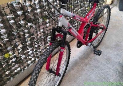 Free ad: Mountain bike in Palermo. Mountain bike in Palermo