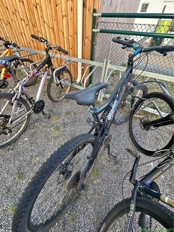 Mountain Bike