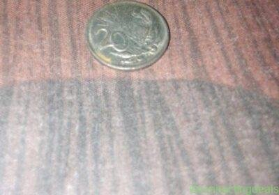 Old coins in Cape Town