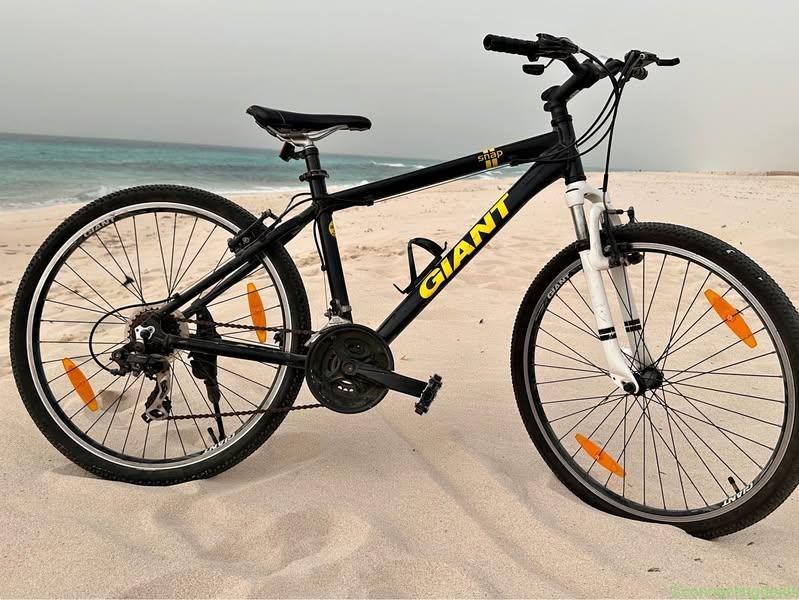 Original Giant Snap Bike