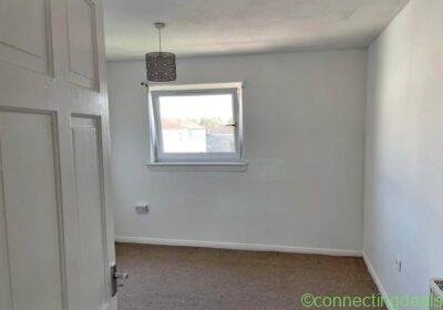 Free ad: P A I N T E R in Glasgow. P A I N T E R in Glasgow