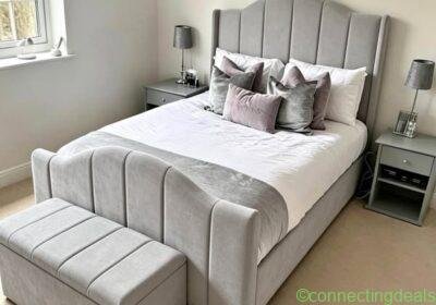 Free ad: PAQUETE BASE Y RESPALDO in Monterrey. PAQUETE BASE Y RESPALDO in Monterrey