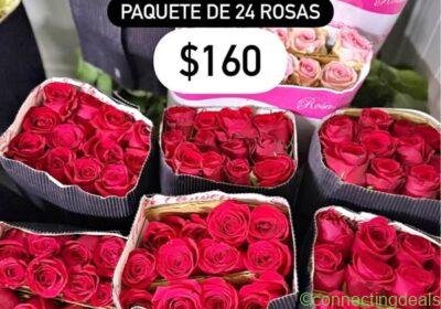 Free ad: Paquete de 24 rosas in Monterrey. Paquete de 24 rosas in Monterrey