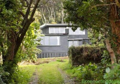 Paradise Found Reap the Rewards in Auckland