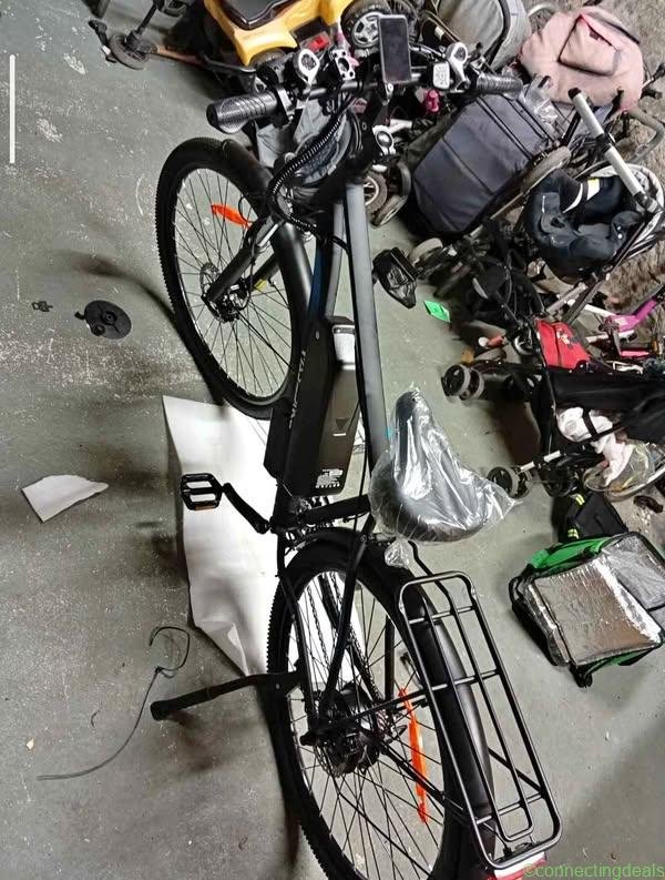 Pase-Bike 750W Motor 48V21.5AH Battery Dual