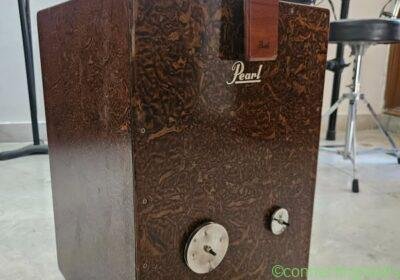 Pearl Jingle Cajon in Delhi