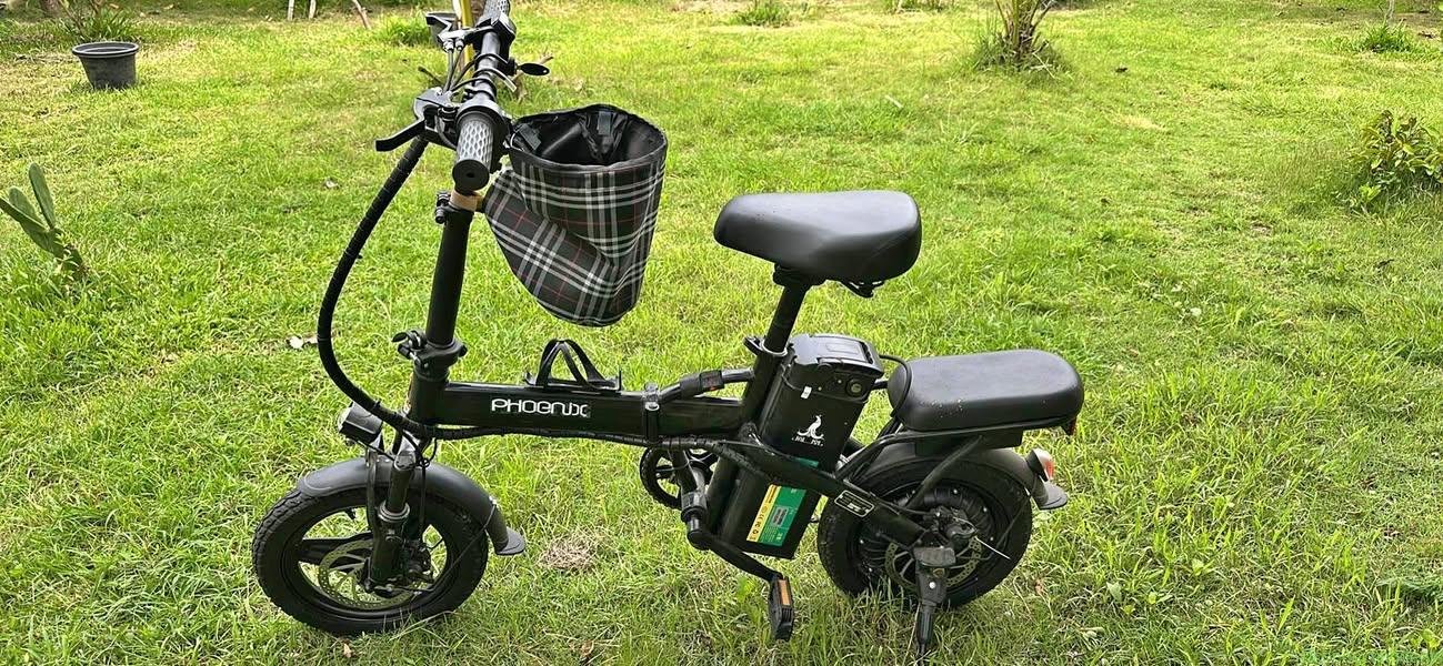 Phoenix Foldable Electric Bicycle 500W