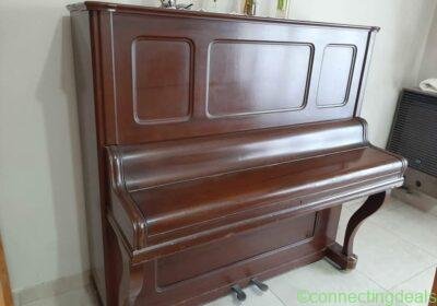 Free ad: Piano Aleman in Buenos Aires. Piano Aleman in Buenos Aires