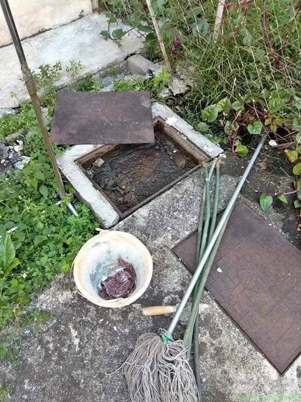 Plumber service