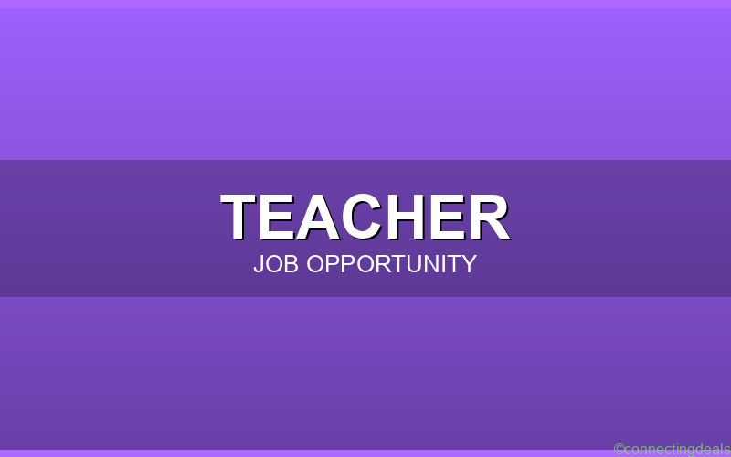 Primary Teacher