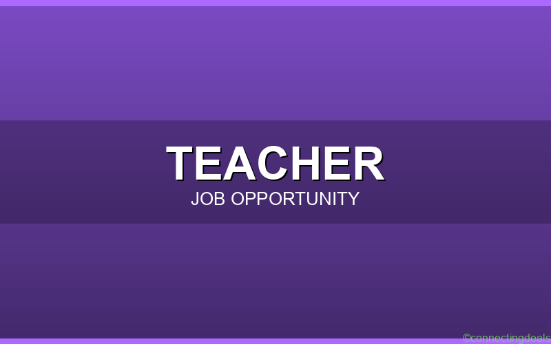 Primary Teacher