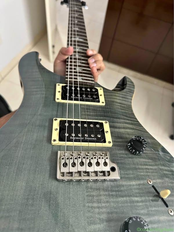 PRS SE Custom 24 (Modded)