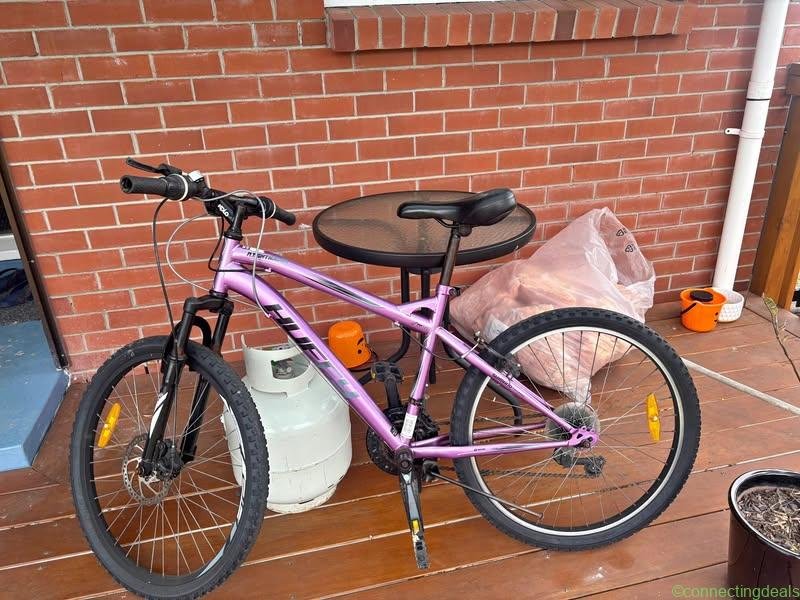 Purple Bike