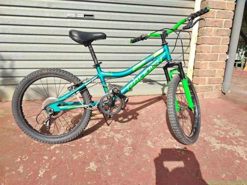 Raleigh Mountain bike