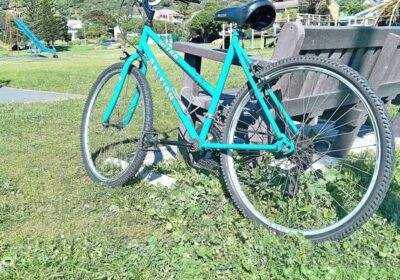 Free ad: Raleigh Nitro Mountain Bike in Cape Town. Raleigh Nitro Mountain Bike in Cape Town