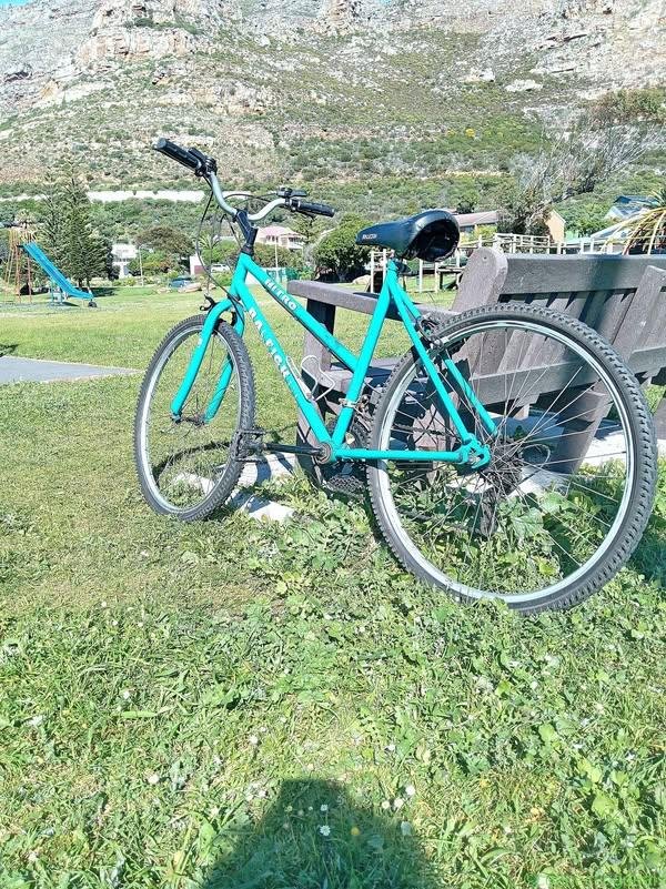 Raleigh Nitro Mountain Bike