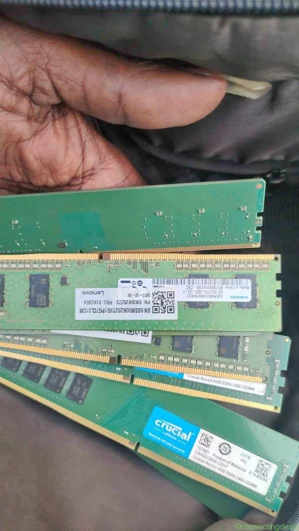 Ram