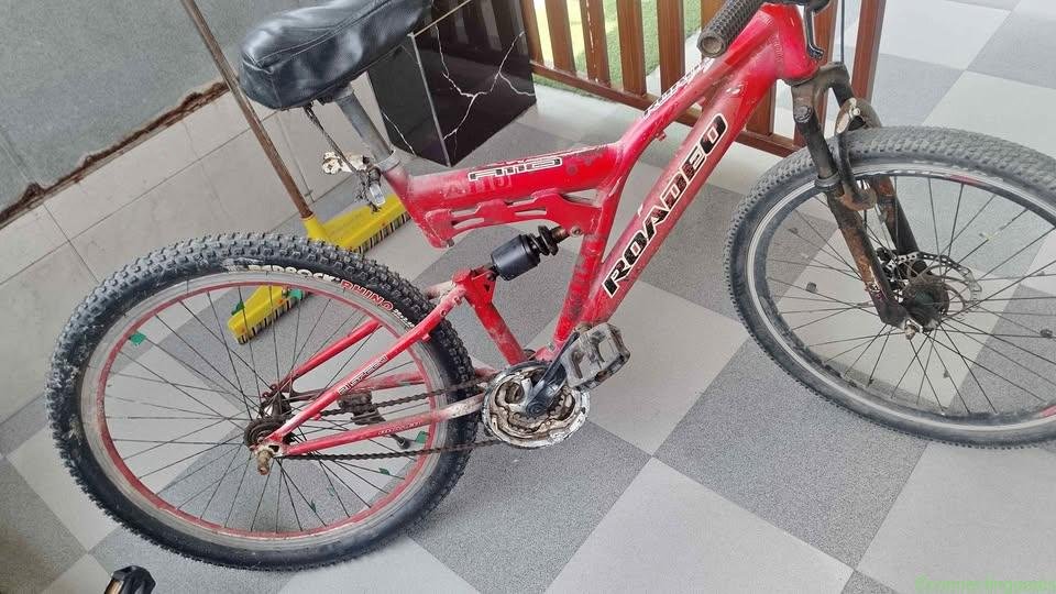 Roadeo A110 Mountain Bike